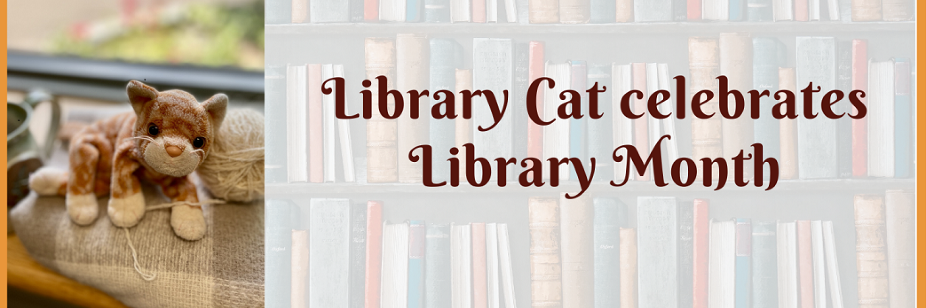 Library Cat relaxing with a ball of yarn by the window.